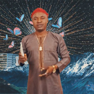 Chief Michael Udegbi