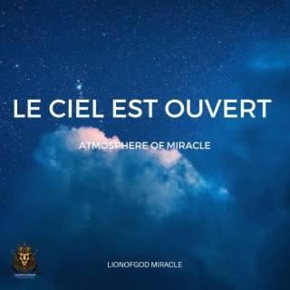 LionofGod Miracle