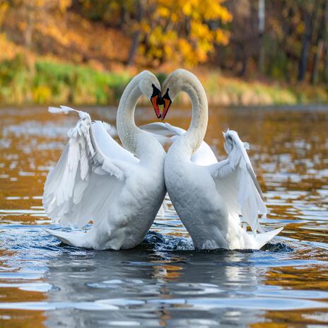 YOU AND I, NOTHING IS BETTER | Boomplay Music